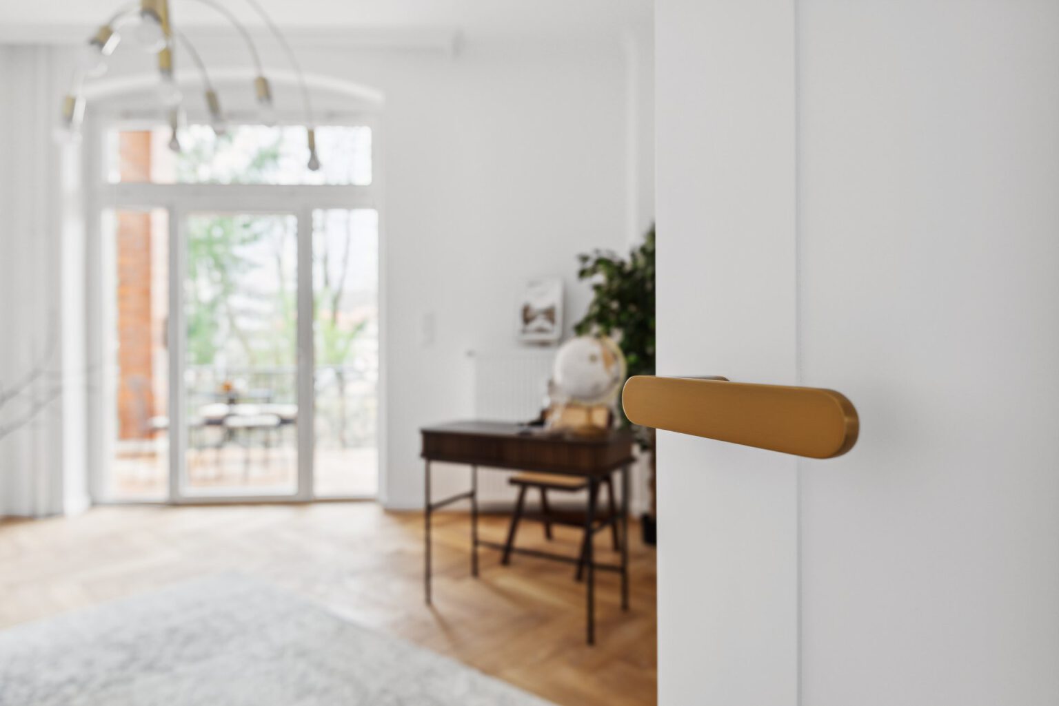 backbone_166781_002_WEB